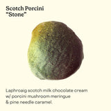 A detailed view of handmade chocolate piece "Stotch Porcini Stone" handmade in San Francisco.