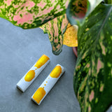 Two gourmet chocolate bars in white and yellow on a concrete ledge, as seen through pink and green plant leaves.