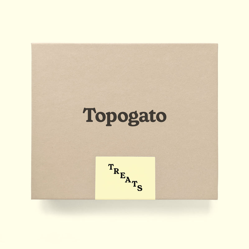 A chocolate gift box shown from the top down with San Francisco chocolate company Topogato logo.